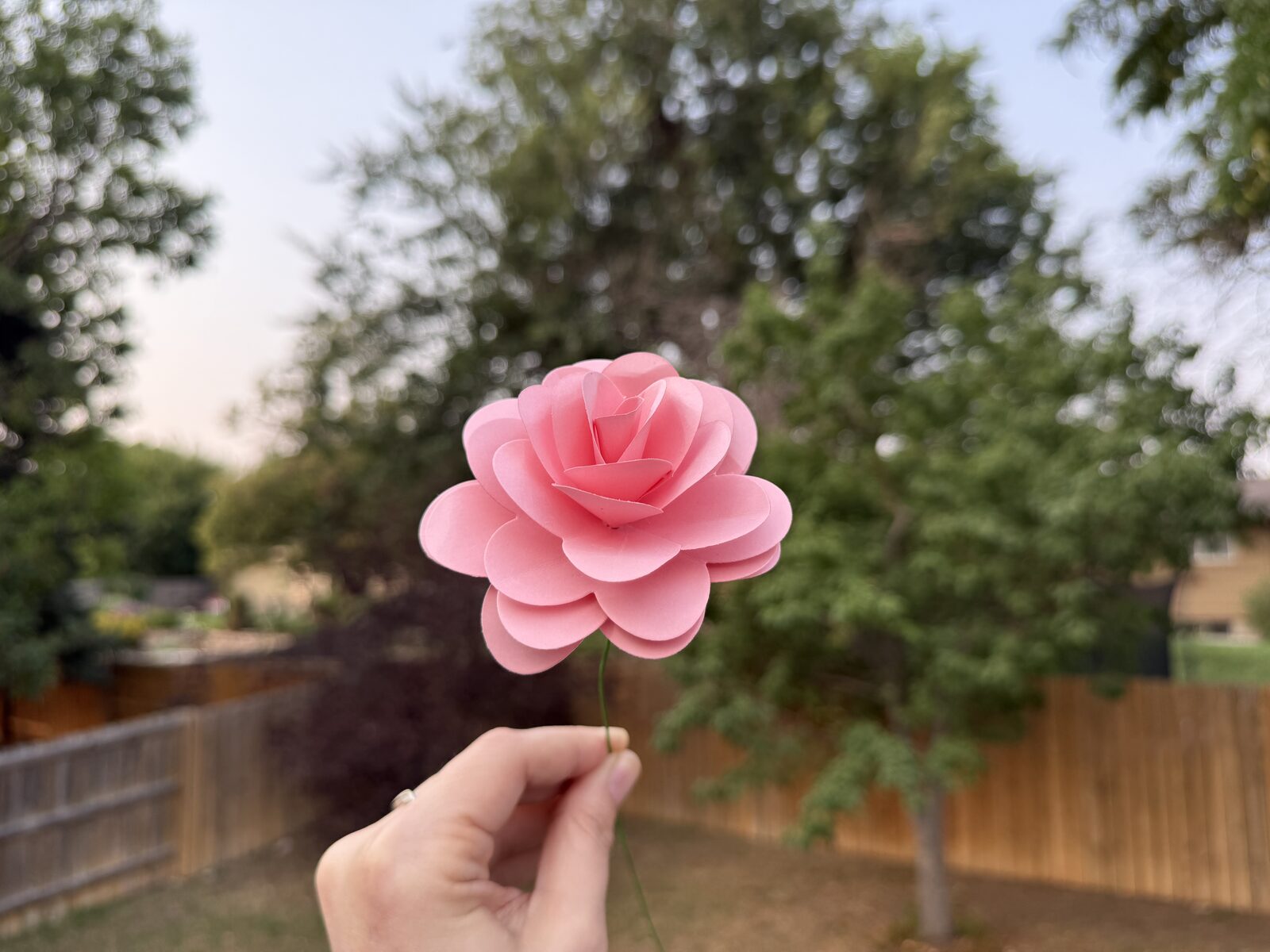 Pink cardstock rose being held up outside.