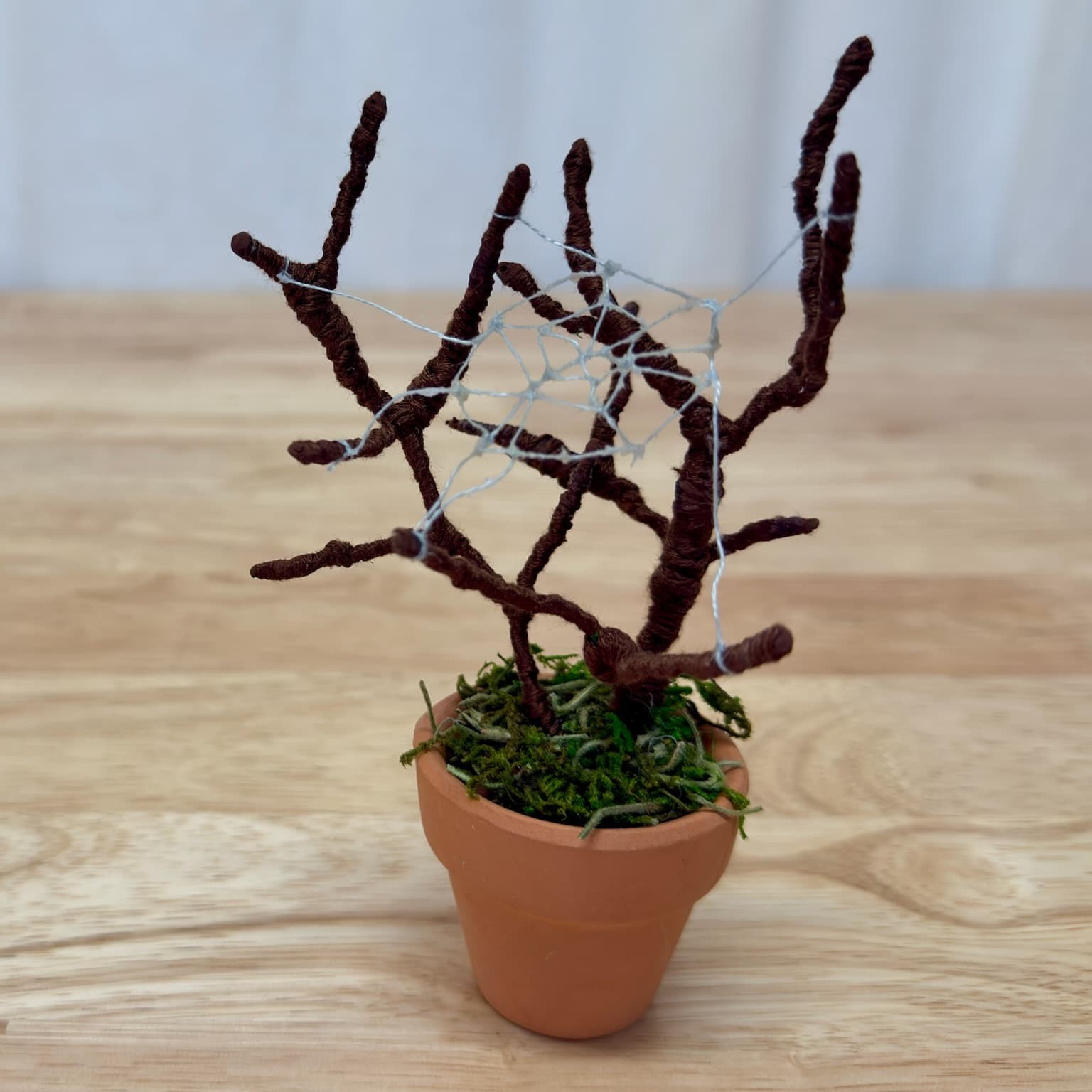 Spiderweb Tree, 2026 edition: a thread-wrapped wire tree in a terracotta pot with a hand-tied web in its branches