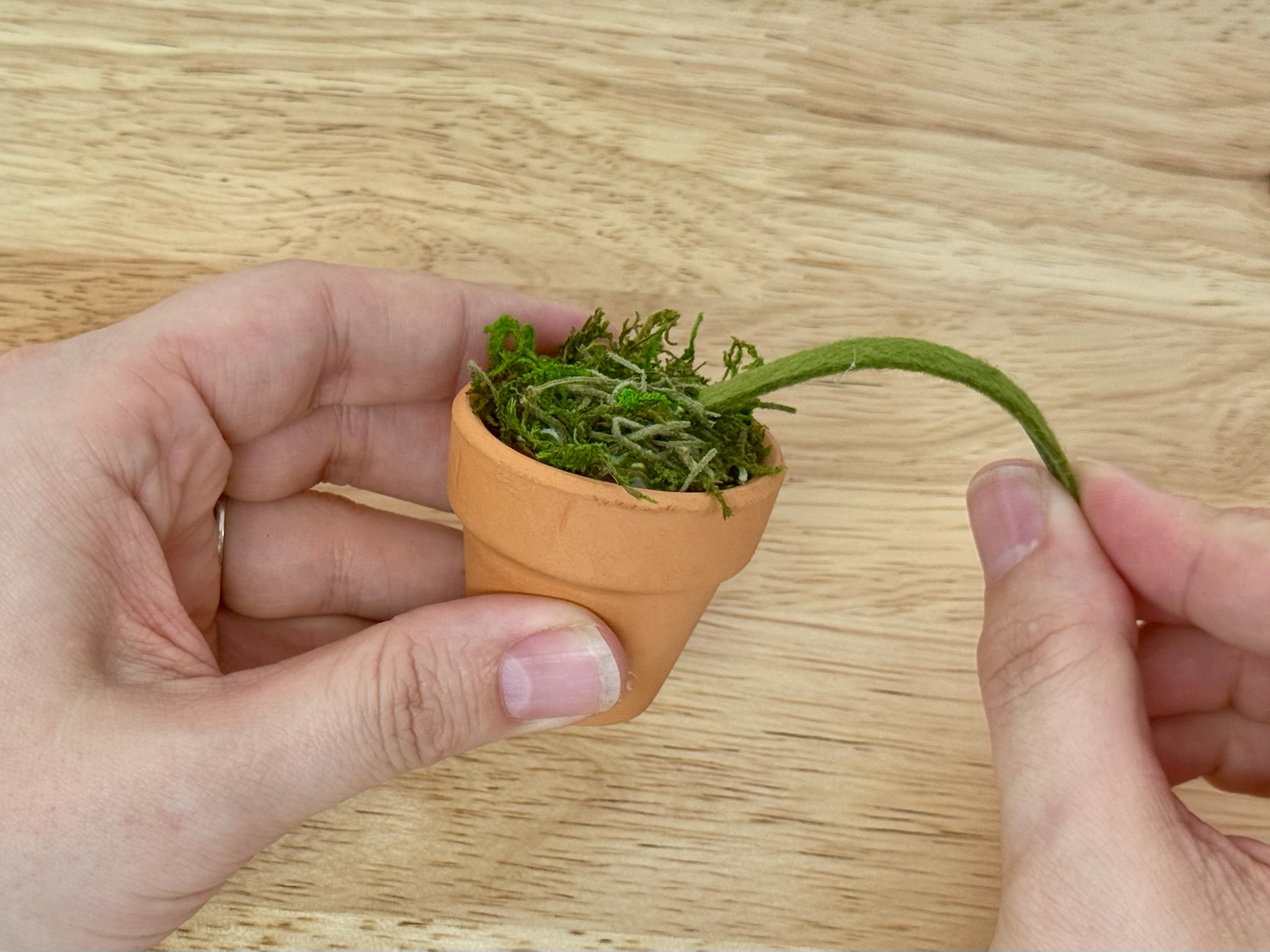 Curving a wired felt leaf into a gentle arc over the edge of the pot