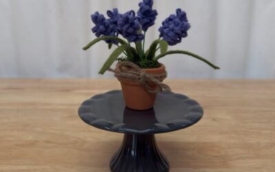 Let’s Grow Some Cloud Lavender